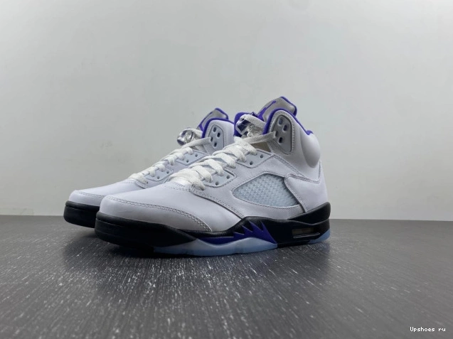 DD0587-141 Retro Jordan  Dark Concord 5 0512